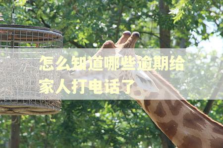 怎么知道哪些逾期给家人打电话了
