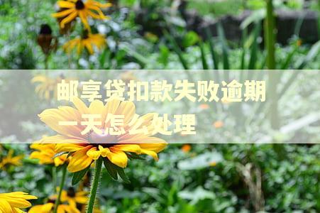 邮享贷扣款失败逾期一天怎么处理 邮享贷扣款失败逾期一天怎么处理