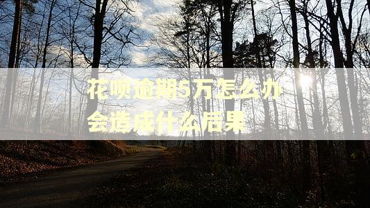 花呗逾期5万怎么办会造成什么后果