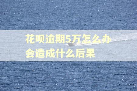 花呗逾期5万怎么办会造成什么后果