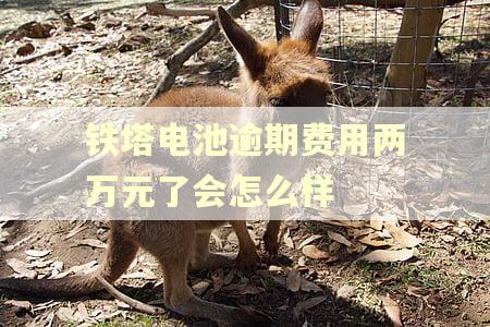 铁塔电池逾期费用两万元了会怎么样