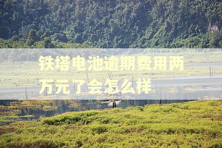 铁塔电池逾期费用两万元了会怎么样