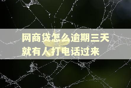 网商贷怎么逾期三天就有人打电话过来