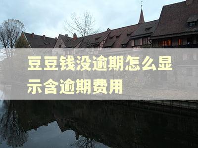 豆豆钱没逾期怎么显示含逾期费用
