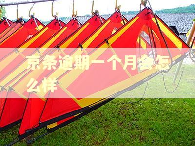 京条逾期一个月会怎么样