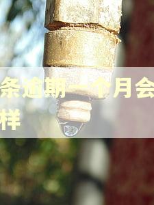 京条逾期一个月会怎么样