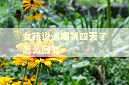 女孩说逾期第四天了怎么回复