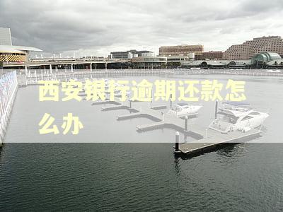 西安银行逾期还款怎么办