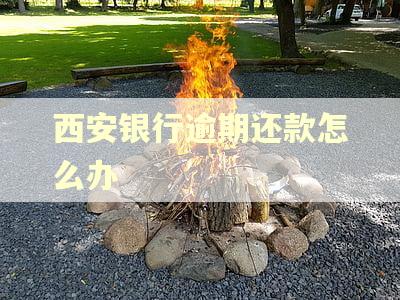 西安银行逾期还款怎么办