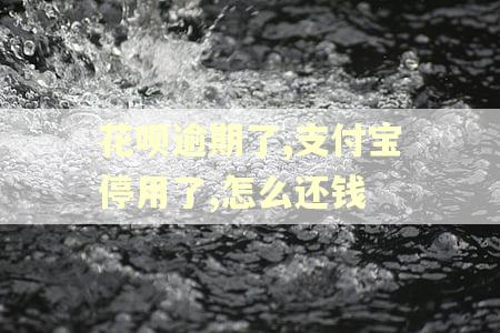 花呗逾期了,支付宝停用了,怎么还钱