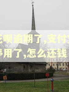花呗逾期了,支付宝停用了,怎么还钱
