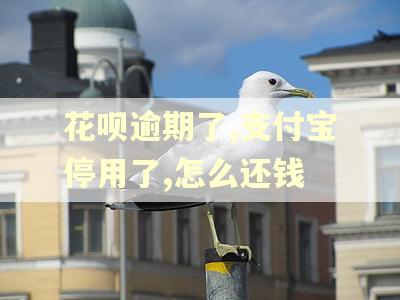 花呗逾期了,支付宝停用了,怎么还钱
