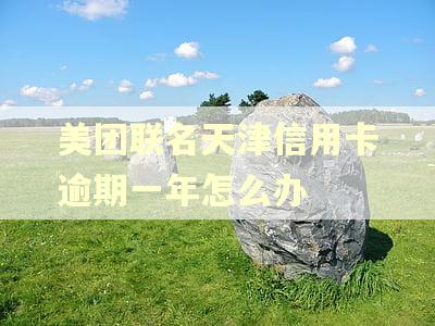 美团联名天津信用卡逾期一年怎么办