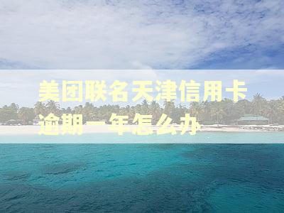 美团联名天津信用卡逾期一年怎么办 美团联名天津信用卡逾期一年怎么办