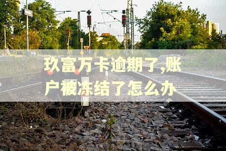 玖富万卡逾期了,账户被冻结了怎么办