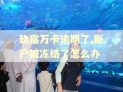 玖富万卡逾期了,账户被冻结了怎么办 玖富万卡逾期了,账户被冻结了怎么办