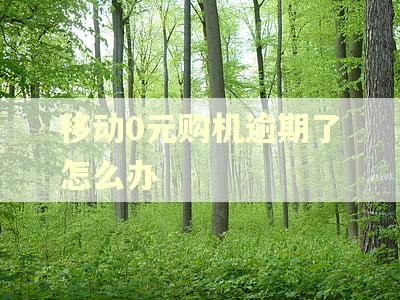 移动0元购机逾期了怎么办