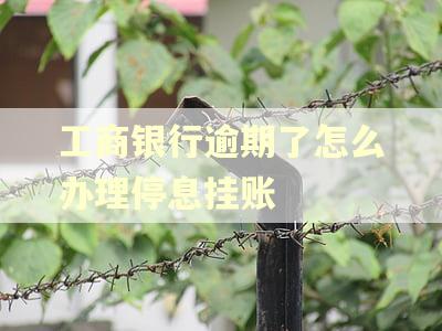 工商银行逾期了怎么办理停息挂账