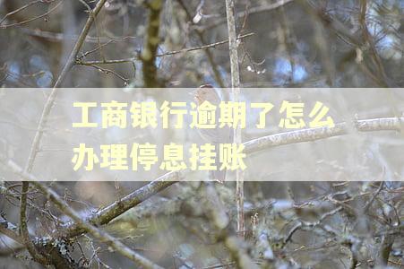 工商银行逾期了怎么办理停息挂账