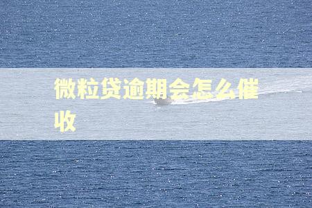 微粒贷逾期会怎么催收