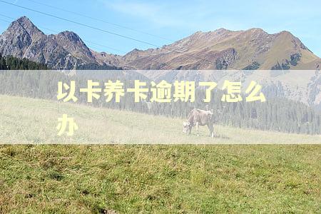 以卡养卡逾期了怎么办
