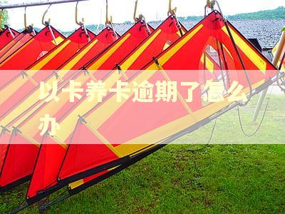 以卡养卡逾期了怎么办