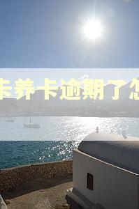 以卡养卡逾期了怎么办 以卡养卡逾期了怎么办