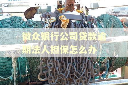 微众银行公司贷款逾期法人担保怎么办