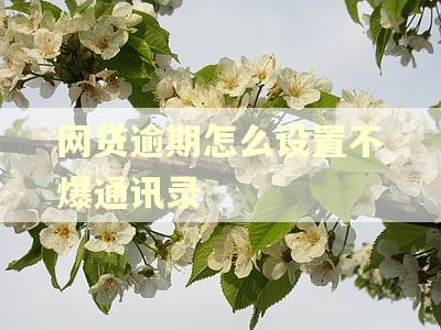 网贷逾期怎么设置不爆通讯录
