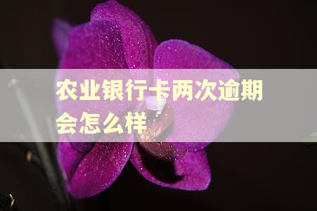 农业银行卡两次逾期会怎么样
