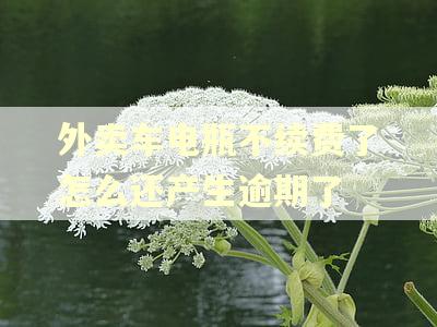 外卖车电瓶不续费了怎么还产生逾期了