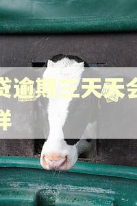 快贷逾期三天天会怎么样