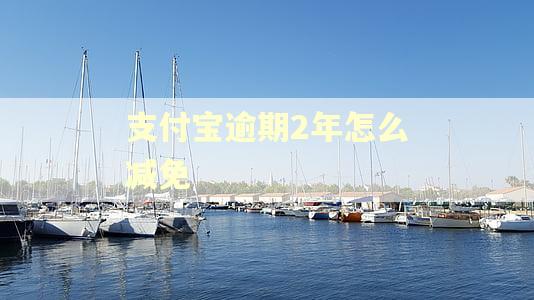 支付宝逾期2年怎么减免