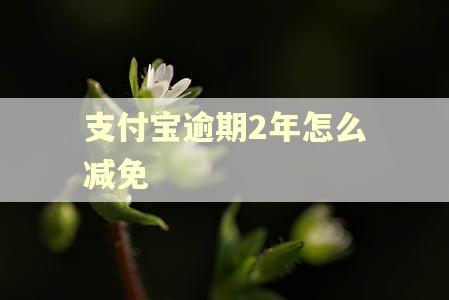 支付宝逾期2年怎么减免 支付宝逾期2年怎么减免