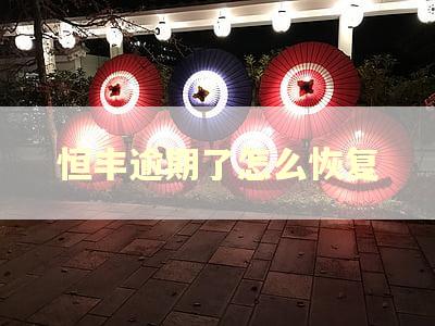 恒丰逾期了怎么恢复