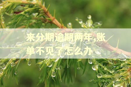 来分期逾期两年,账单不见了怎么办