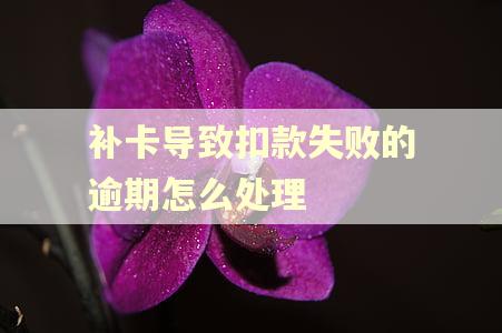 补卡导致扣款失败的逾期怎么处理 补卡导致扣款失败的逾期怎么处理