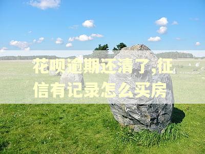 花呗逾期还清了,征信有记录怎么买房