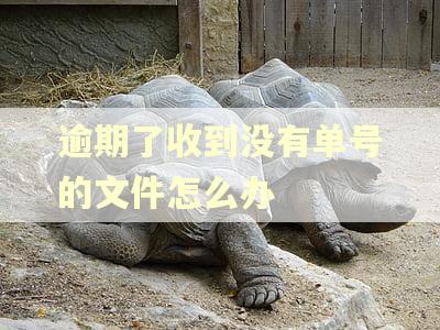 逾期了收到没有单号的文件怎么办 逾期了收到没有单号的文件怎么办