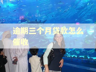 逾期三个月贷款怎么催收