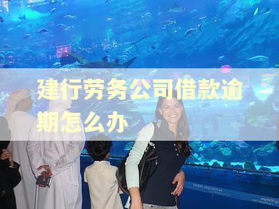 建行劳务公司借款逾期怎么办 建行劳务公司借款逾期怎么办