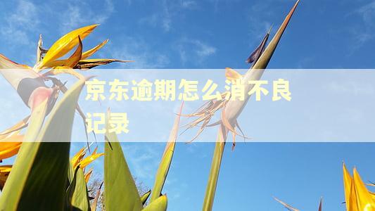 京东逾期怎么消不良记录