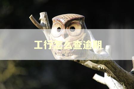 工行怎么查逾期