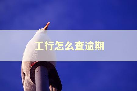 工行怎么查逾期