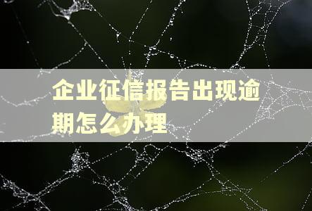 企业征信报告出现逾期怎么办理