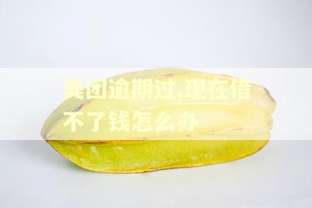 美团逾期过,现在借不了钱怎么办 美团逾期过,现在借不了钱怎么办