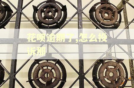 花呗逾期了,怎么投诉那