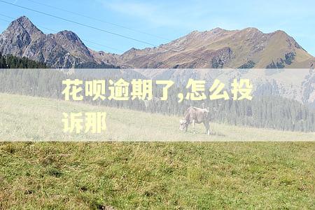 花呗逾期了,怎么投诉那