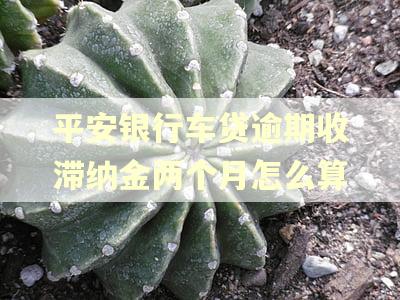 平安银行车贷逾期收滞纳金两个月怎么算