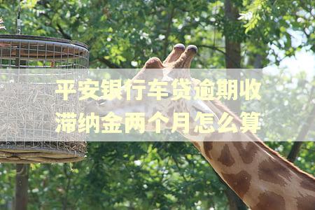 平安银行车贷逾期收滞纳金两个月怎么算